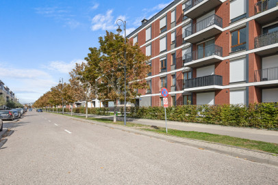 Apartment Rent Warszawa Wilanów Sarmacka